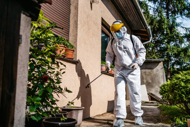 Best Cockroach Control Services  in Garfield, NJ