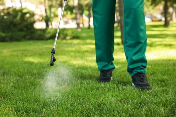 Best Affordable Pest Control Services  in Garfield, NJ