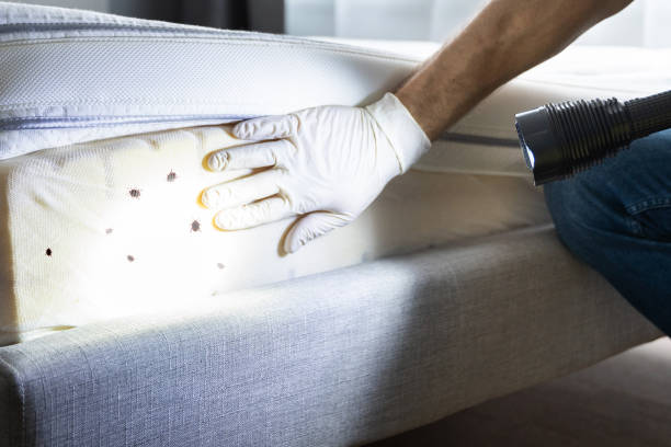 Best Best Pest Control Companies  in Garfield, NJ