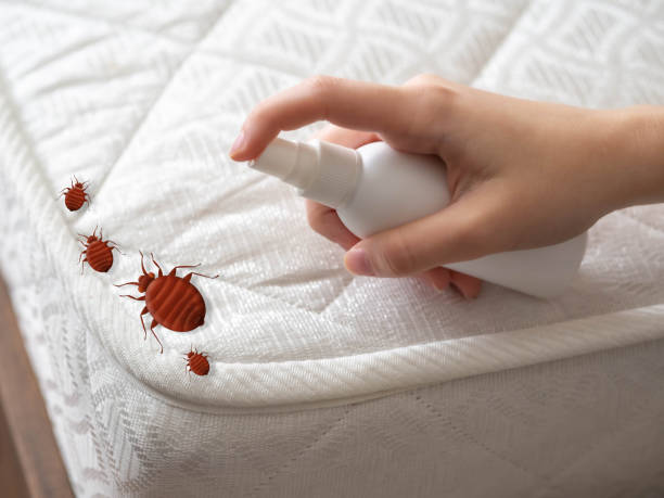 Pest Control Cost in Garfield, NJ