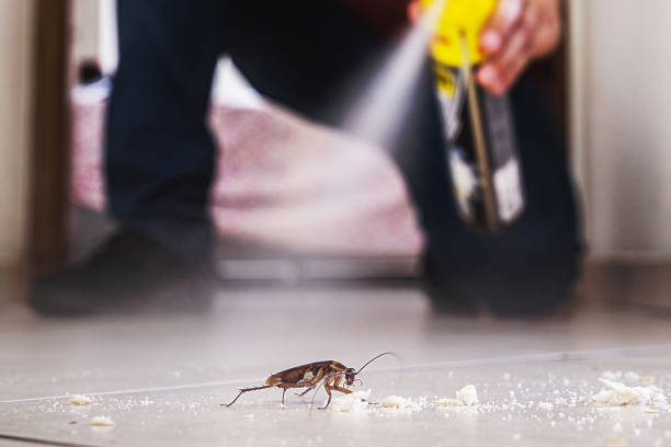Best Pest Control Cost  in Garfield, NJ