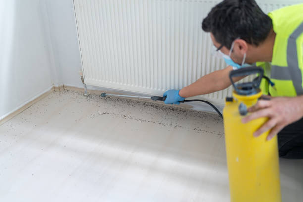 Best Best Pest Control Companies  in Garfield, NJ